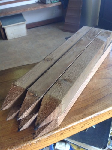 Wooden pegs stakes site - wooden, pegs/stakes,