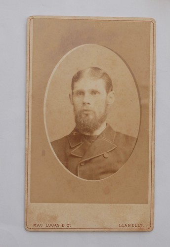 Cdv bearded victorian - cdv,