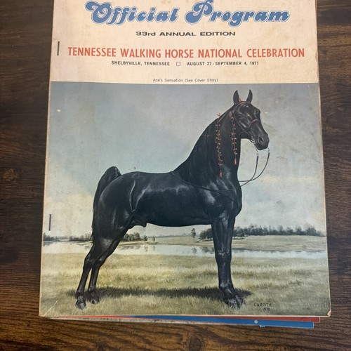 Tennessee walking horse - tennessee,