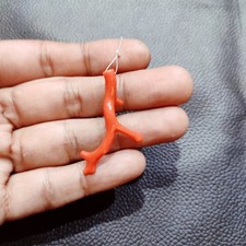 100% Natural Red Coral Branch