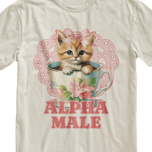 Alpha male funny kitten - funny,