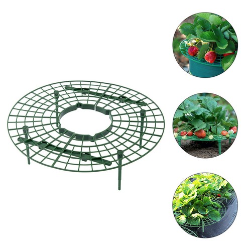 5pcs plant climbing frame - climbing,