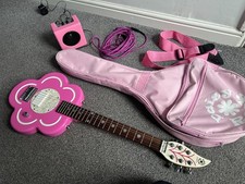 RARE Daisy Rock Pink Flower