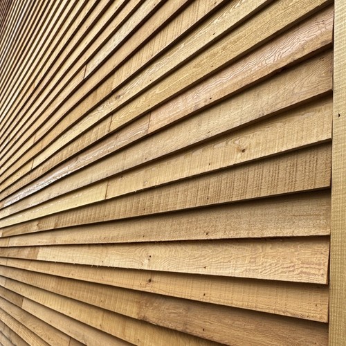 Red western canadian cedar - red,