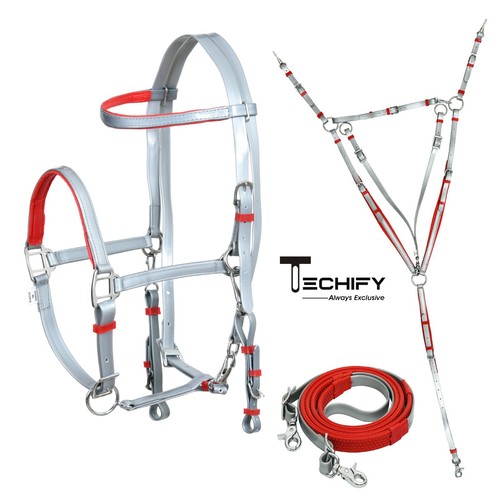 Horse endurance bridle halter - endurance,