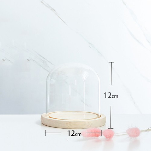 Christmas glass dome - christmas, display