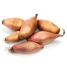 100% Natural Echalion Shallots 250g - 1kg