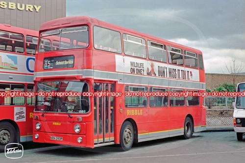 Bus photo ribble - -, 1393