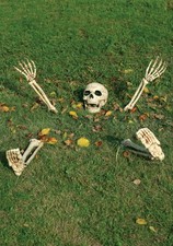 Halloween Buried Alive Skull & Skeleton Bones Garden Party Decoration Graveyard