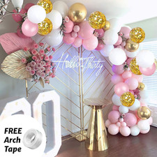 Balloon Arch Kit + Balloons