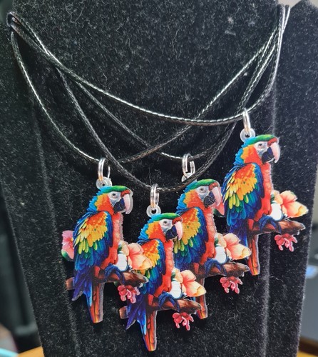 Pretty polly colourful parrot - pretty,
