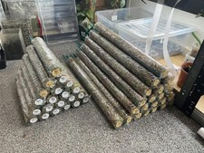 30cm  Sphagnum Moss Pole –