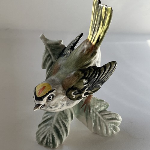 Goebel firecrest bird - goebel,