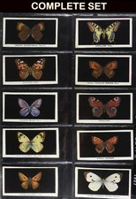 BRITISH BUTTERFLIES PHILLIPS