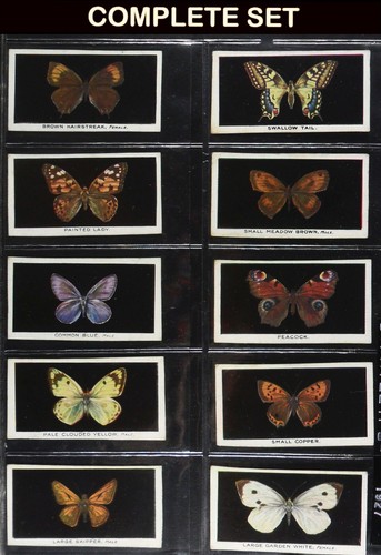 British butterflies phillips - butterflies,