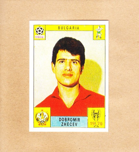 Panini fifa world - world,
