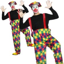 Adults Hooped Clown Costume