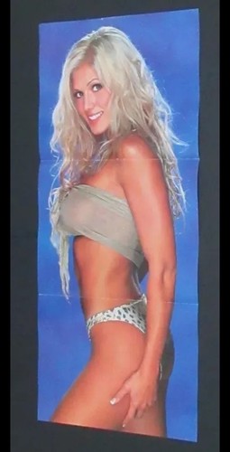 Torrie wilson double - wilson,