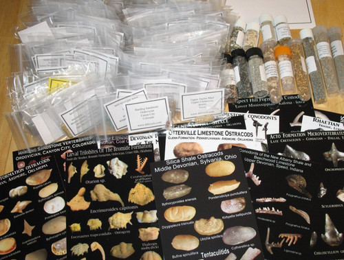 Microfossil microscope matrix - microfossil,