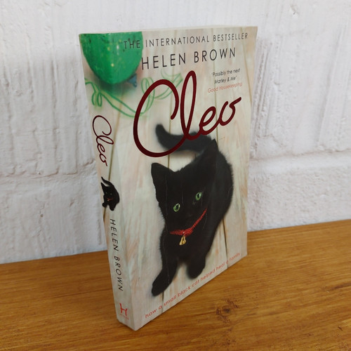 Cleo how small black - small, cat