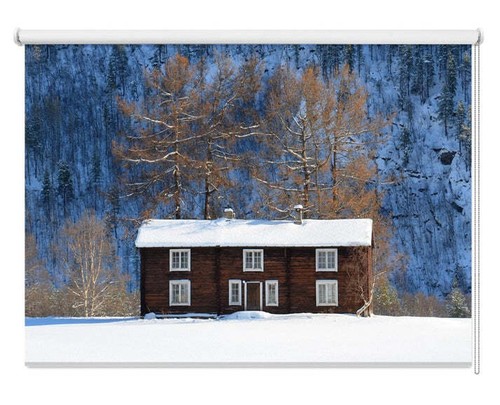 Lonely house the snow photo - house,