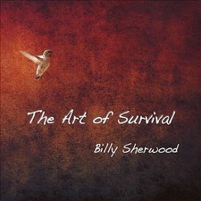 Billy Sherwood: The Art Of