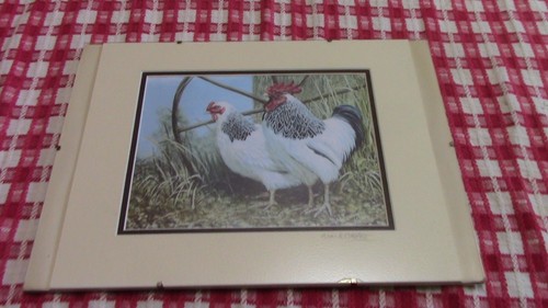 Mark chester chicken picture - mark,
