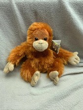 Iceland Orangutan Rang-Tan