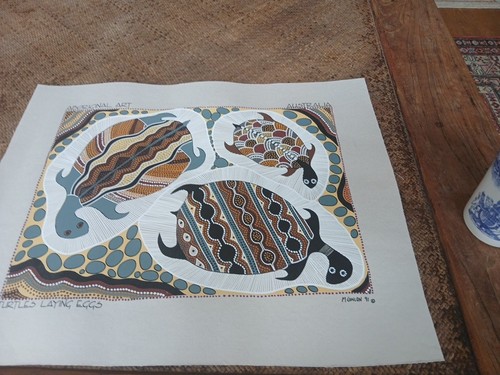 1991 australian aboriginal - 1991,