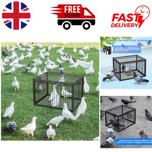 Compact 43cm bird cage with - compact,