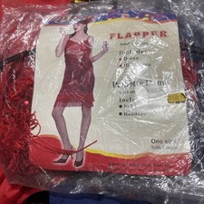 BNIB Funtime Flapper Costume