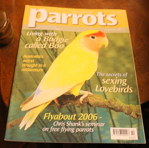Parrots 109 february 2007 - february,