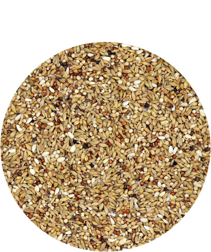 Versele laga depurative - laga, 25kg