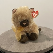 Ty Classic 2005 Cassidy