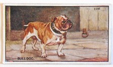 1924 Murray , Sons & CoCigarette cards , Belfast choose yours from drop down box