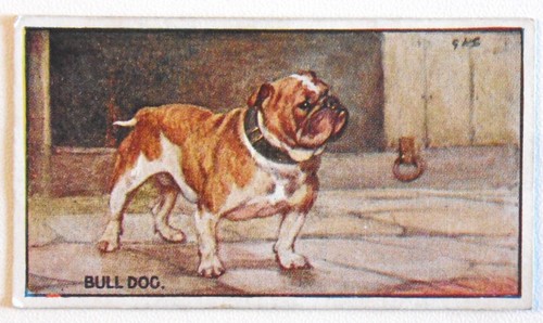 1924 murray sons - ,, &