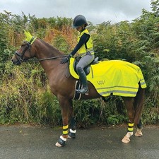 Woof Wear Hi Vis Exercise