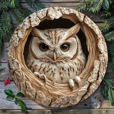 2D Flat Owl  Themed Wall