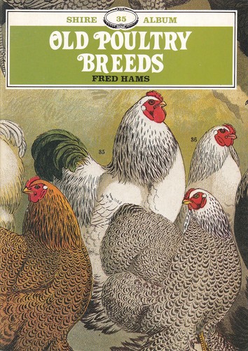 Old poultry breeds - poultry, breeds.
