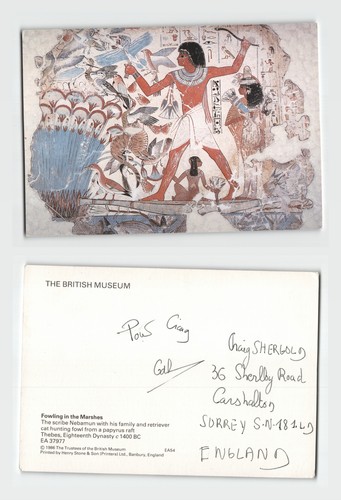 Postcard british museum - -,