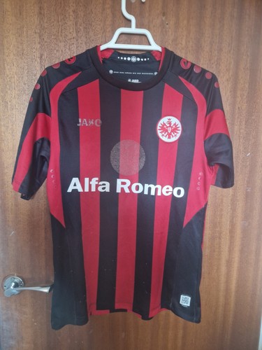 Eintracht frankfurt 2013-14