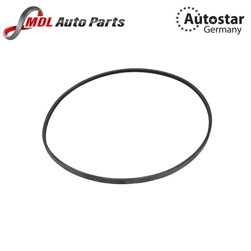 Autostar ribbed belt 3pj891 - autostar,