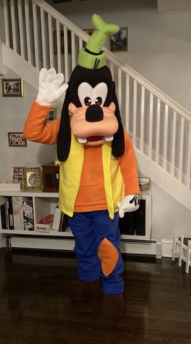 Goofy adult costume - goofy,