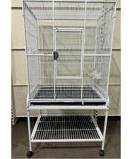 Parrot-Supplies Florida