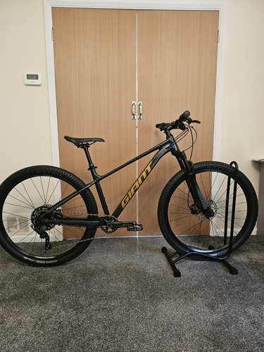Giant talon medium - medium, frame