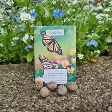 10 Handmade Butterfly Bee