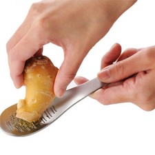 Stainless Steel Spoon Ginger
