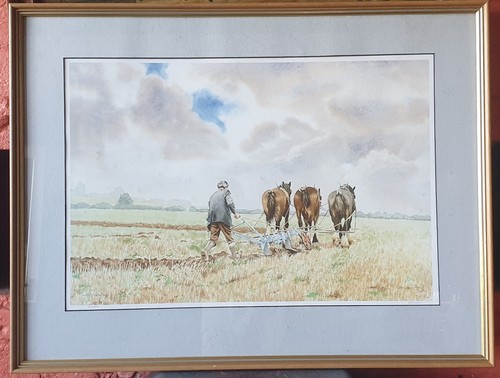 Heavy horses ploughing - horses,,