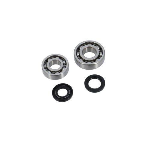 Crankshaft bearing oil seals - bearing,
