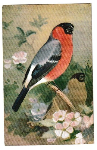 Vintage roland green - green, bullfinch